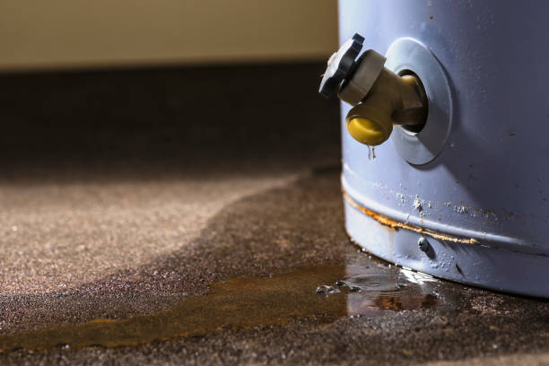 Best Water damage mitigation services  in Frewsburg, NY