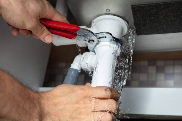 Best Professional water damage repair  in Frewsburg, NY