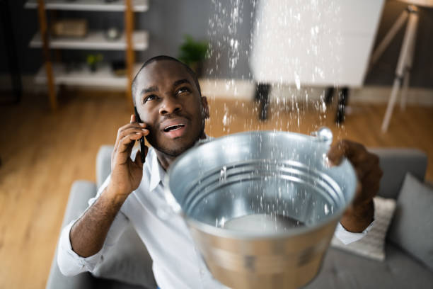 Best Water damage contractors near me  in Frewsburg, NY