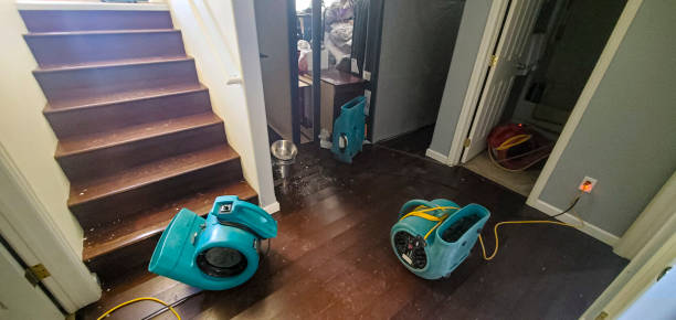 Best Flood damage cleanup  in Frewsburg, NY