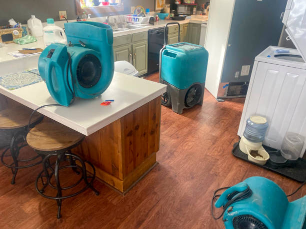 Best 24-hour water damage restoration  in Frewsburg, NY