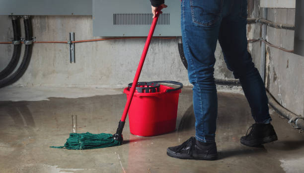 Best Water damage cleanup near me  in Frewsburg, NY