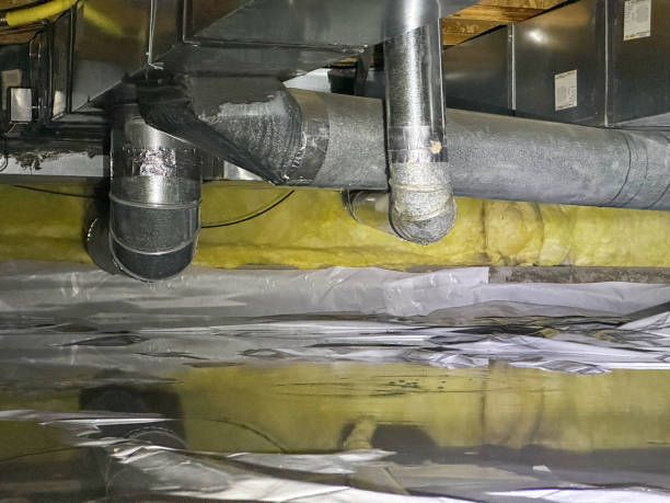Best Flooded house restoration  in Frewsburg, NY